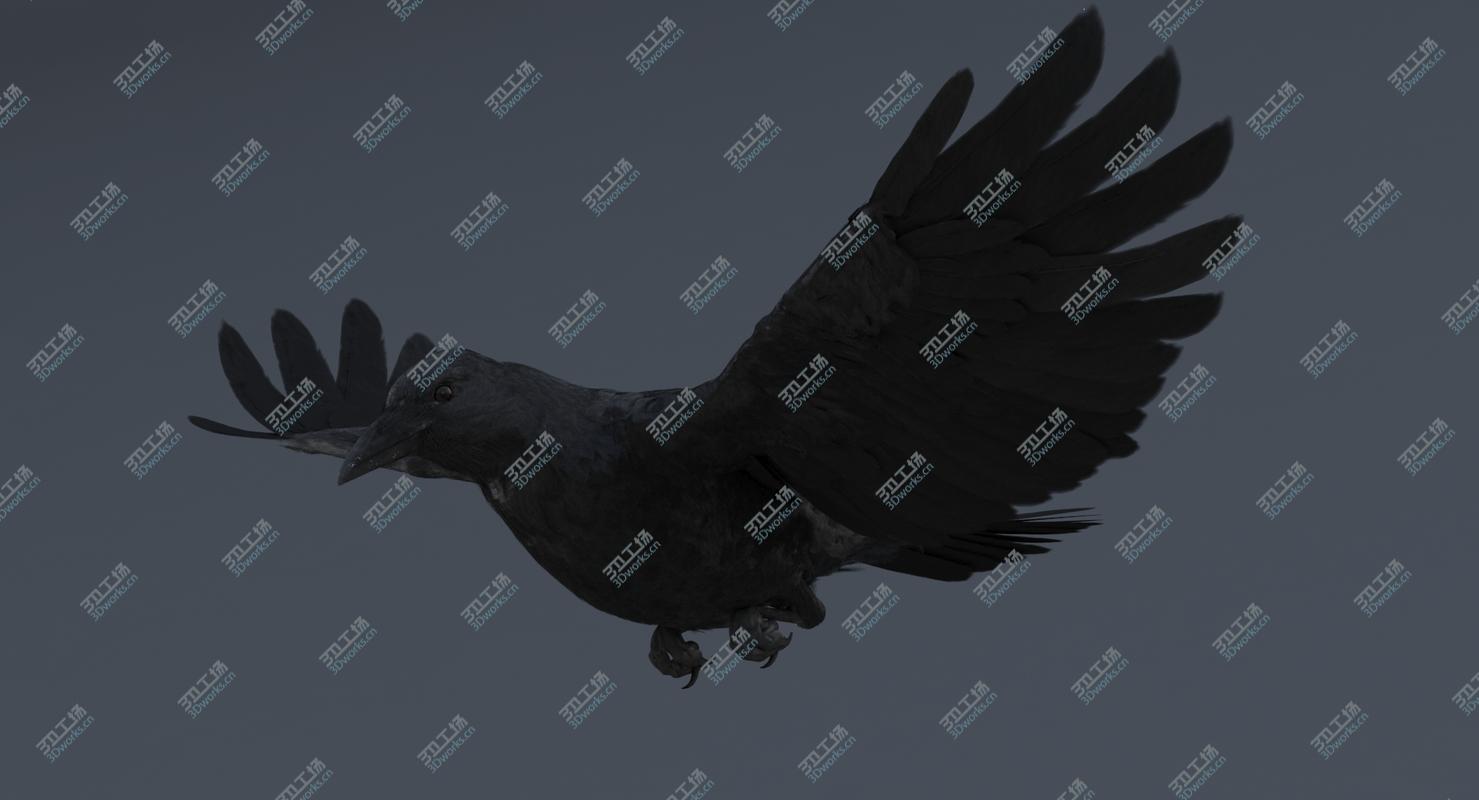 images/goods_img/20210113/3D Crow Rigged model/5.jpg